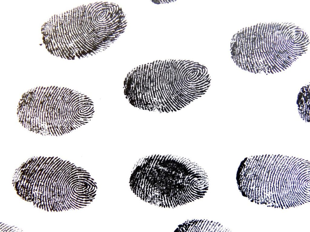 Privédetective Antwerpen voert discreet en professioneel onderzoek uit voor bedrijven en particulieren